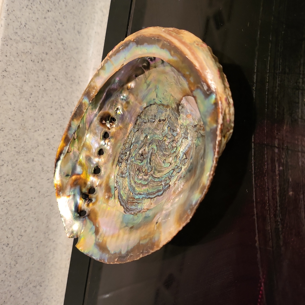 Vintage Beautiful Abalone Shell 6" - Picture 2 of 6